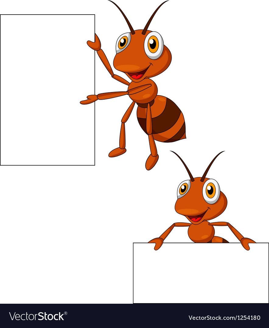 Рамочки с муравьями