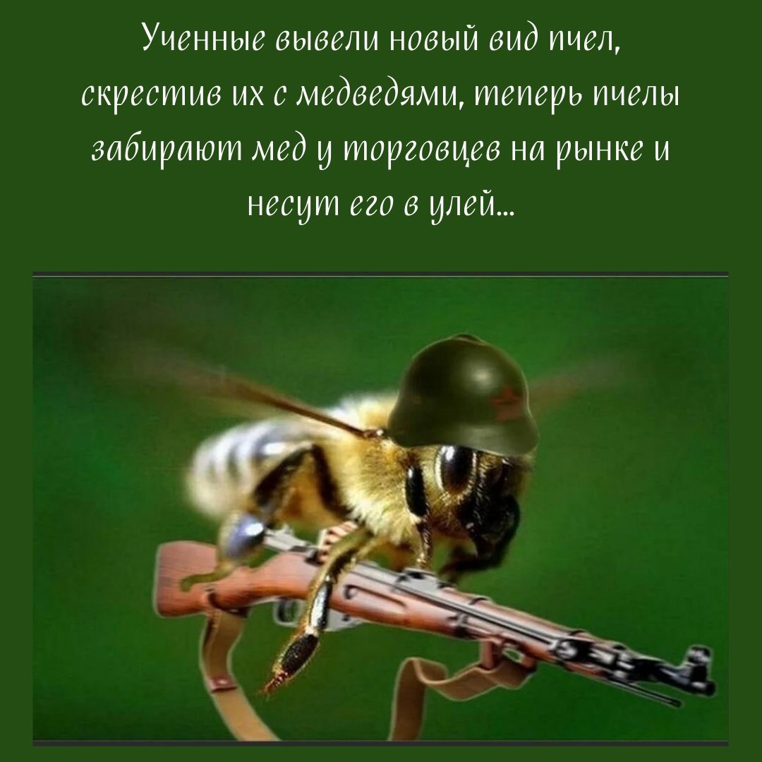 Агрессивная пчела