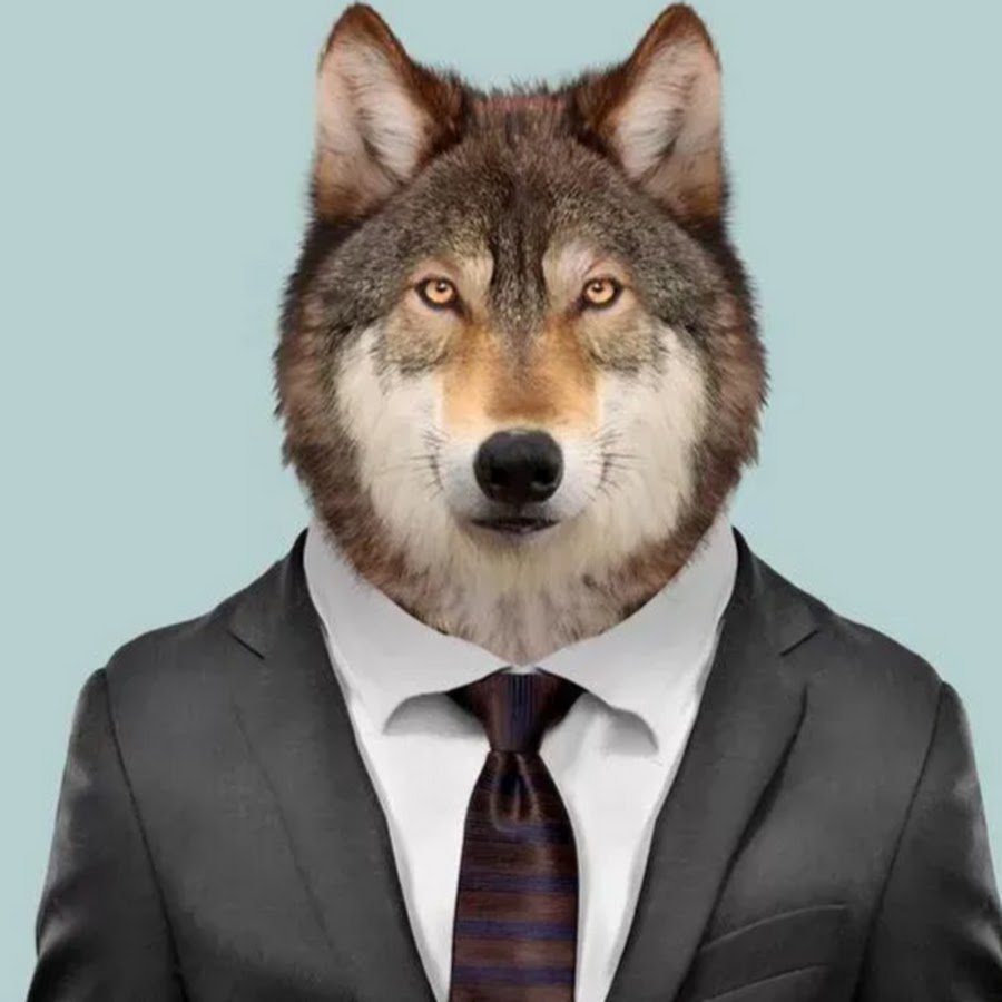 Костюм волка