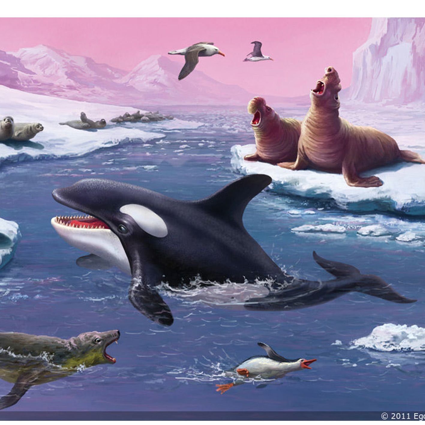 3 полярный мир. Животные Антарктиды и Антарктики. Животные мир Антарктиды. Антарктида в живую. Животные Антарктиды для детей.