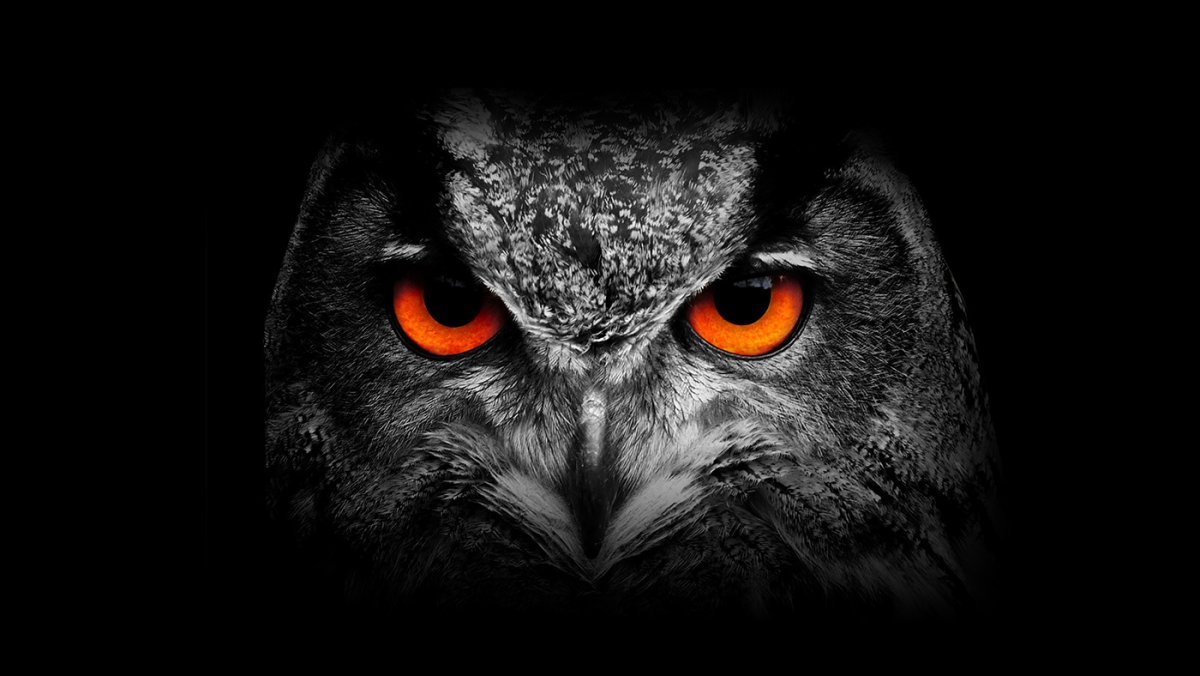 Сова с красными глазами