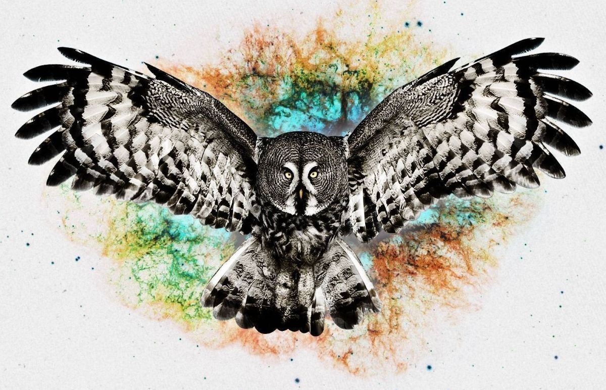 Филин с расправленными крыльями