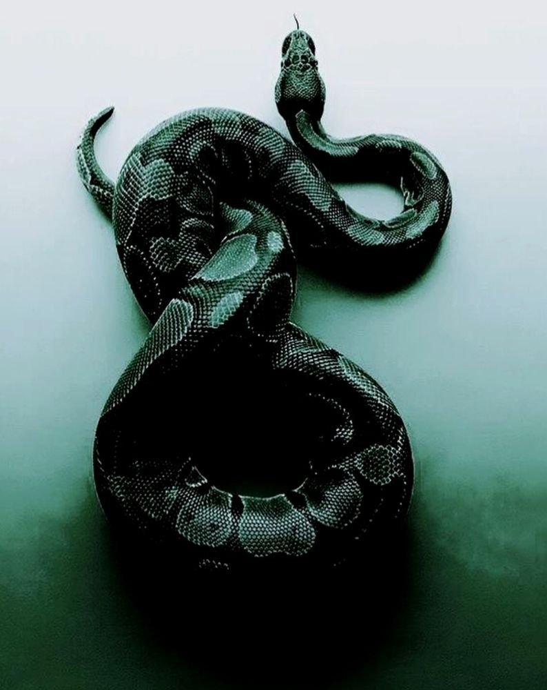 Змеи Эстетика Слизерин