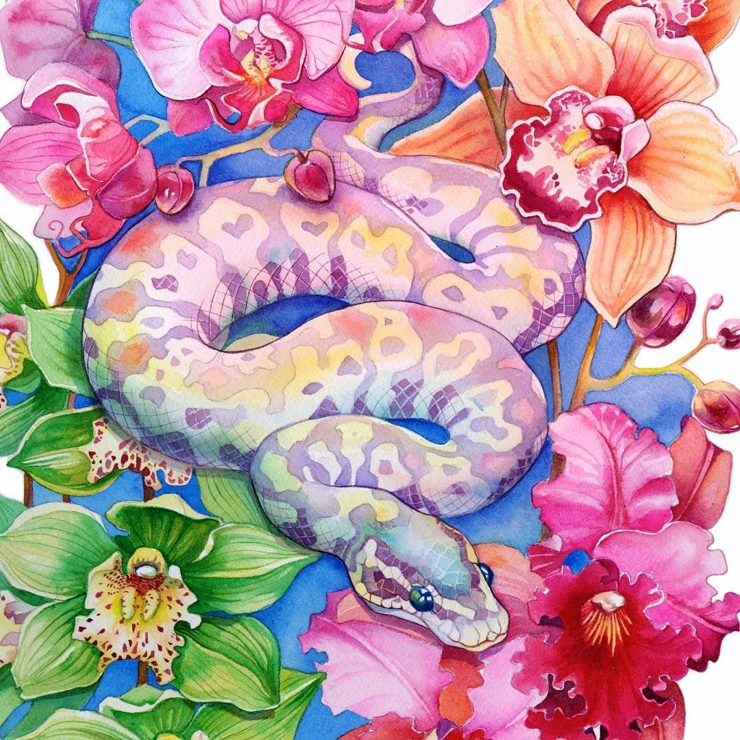 Змея акварелью