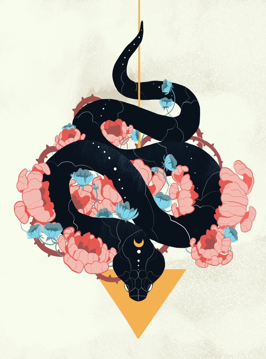 Красивые змеи арт