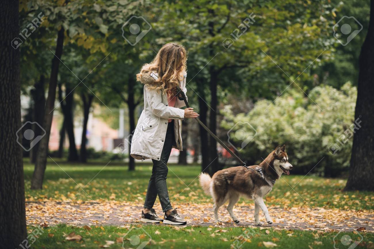 Можно гулять с собакой в парке. Прогулка с собакой. Прогулка с собакой в парке. Собаки гуляют в парке. Осень в парке прогулка с собакой.