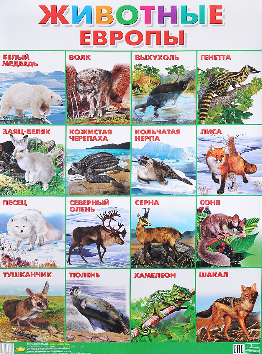 Животные Европы