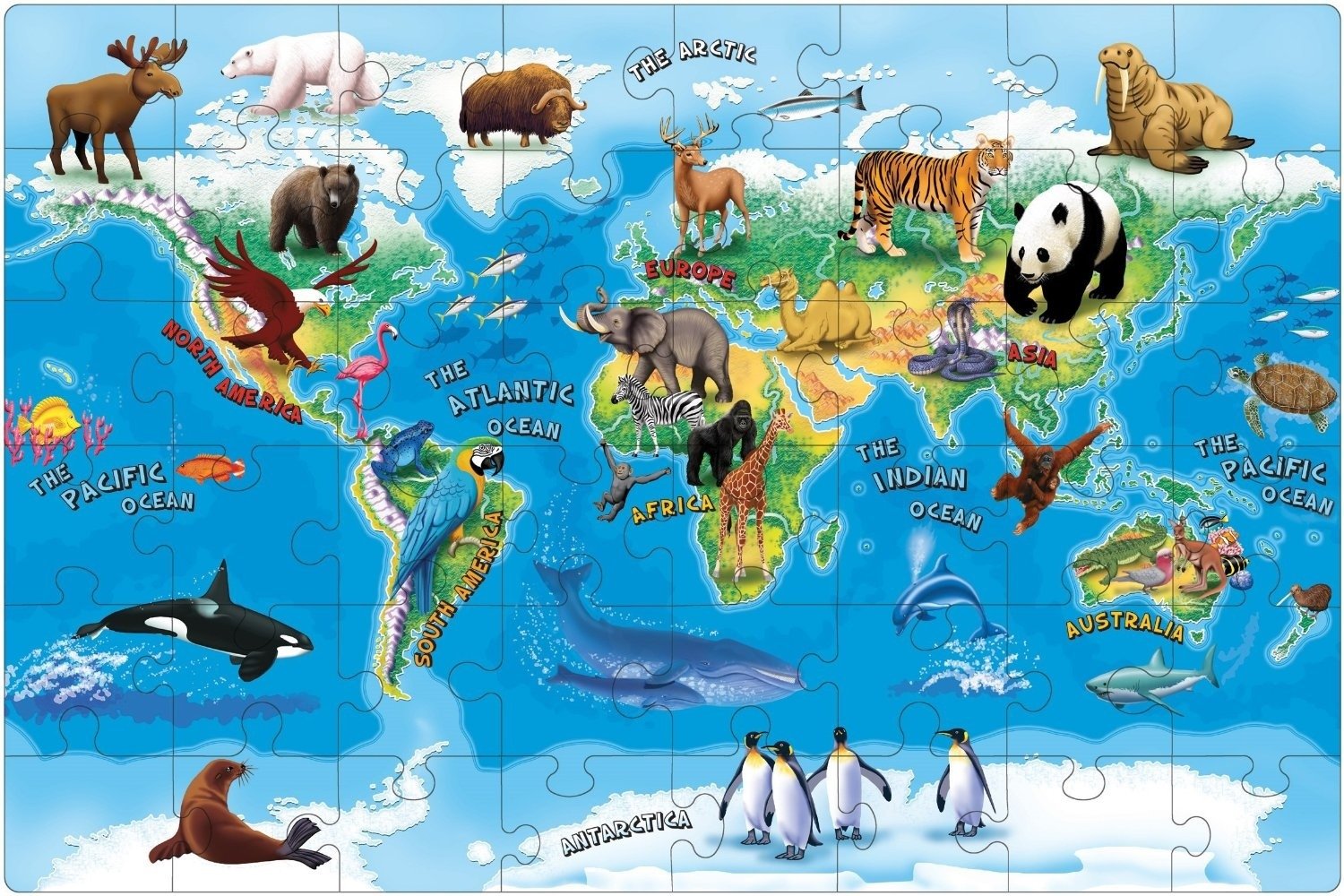 Все живут как карта. Животные на материках. Животные разных континентов. Животные разных континентов для дошкольников. Животные на карте.