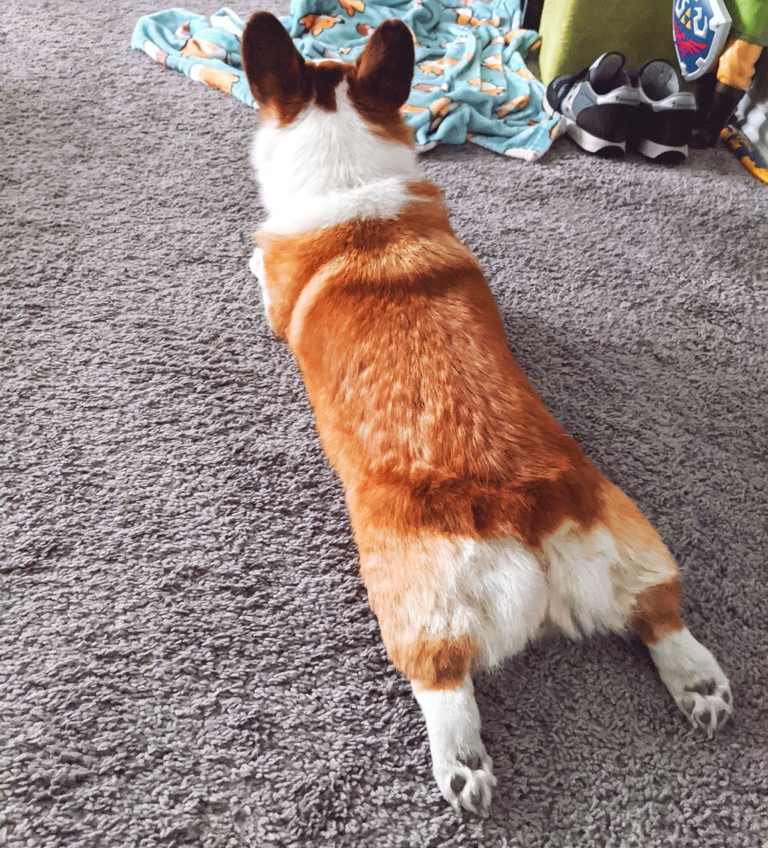 Корги Аринян