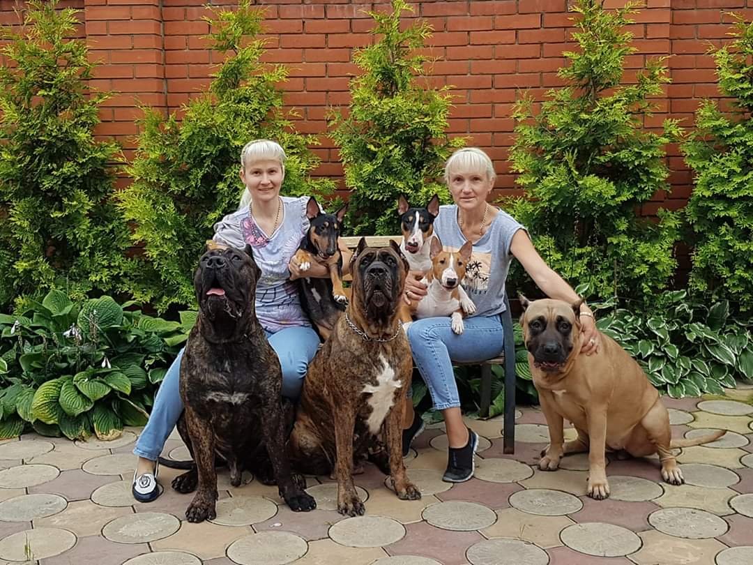 Питомник дого Канарио