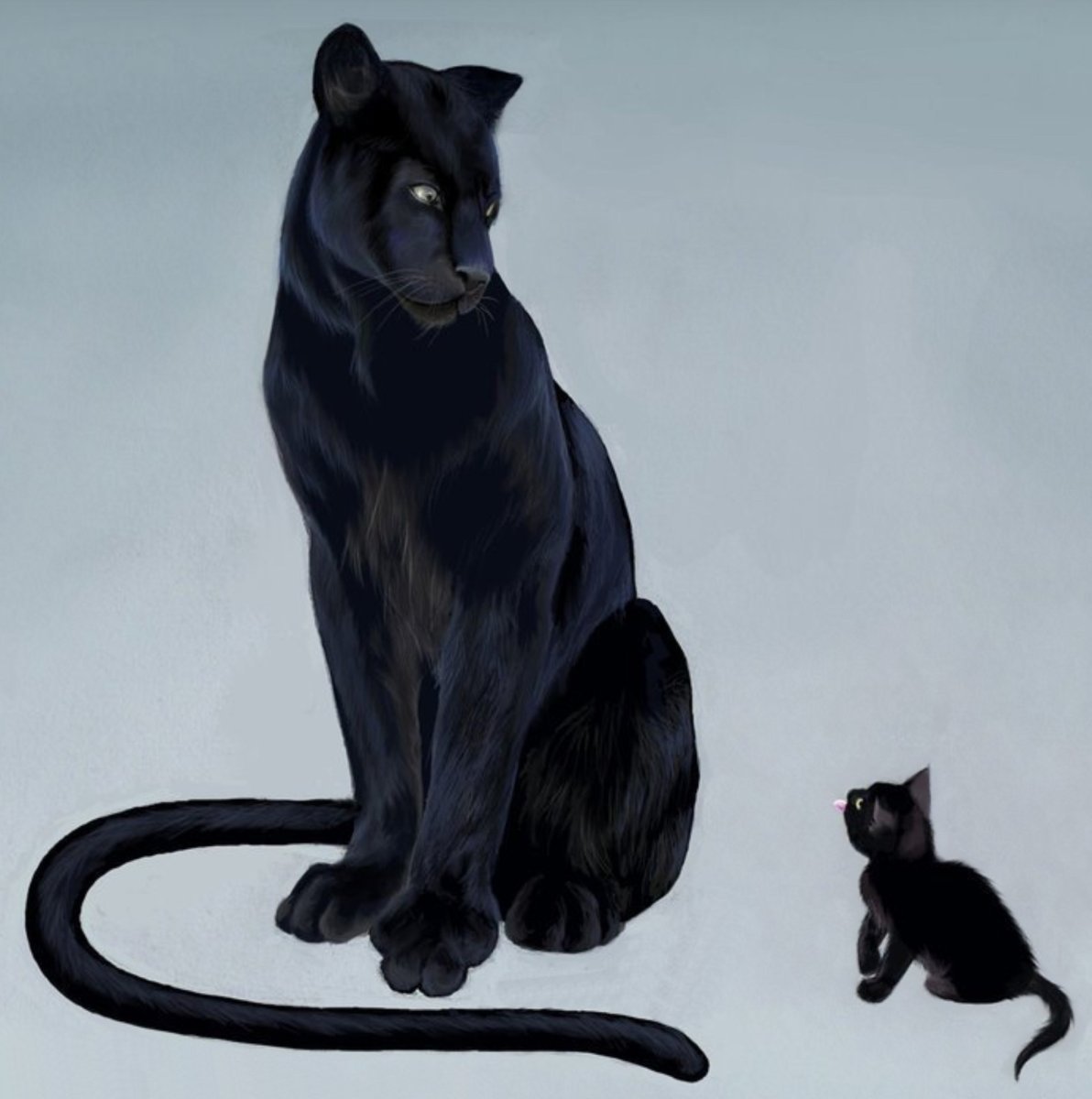 Кот пантера