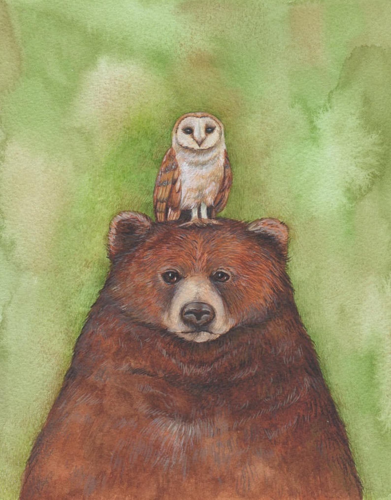 Мудрый медведь. Медведь арт. Медвежонок и Совенок. Сова медведь. Медведь иллюстрация.