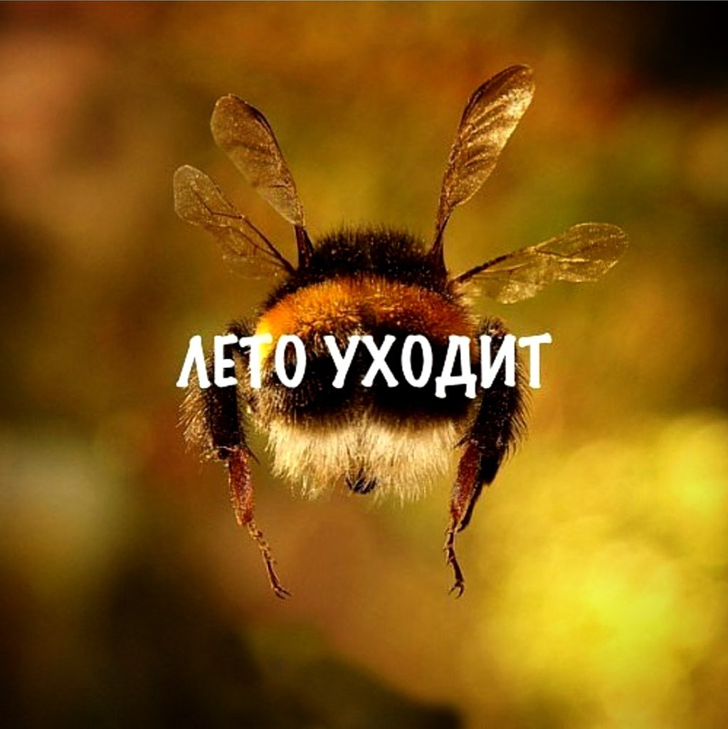 Лето уходит