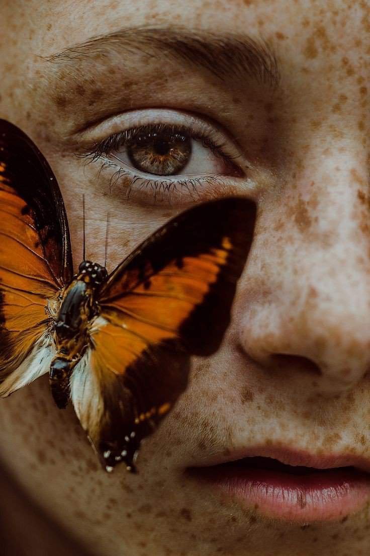 Лицо мотылька