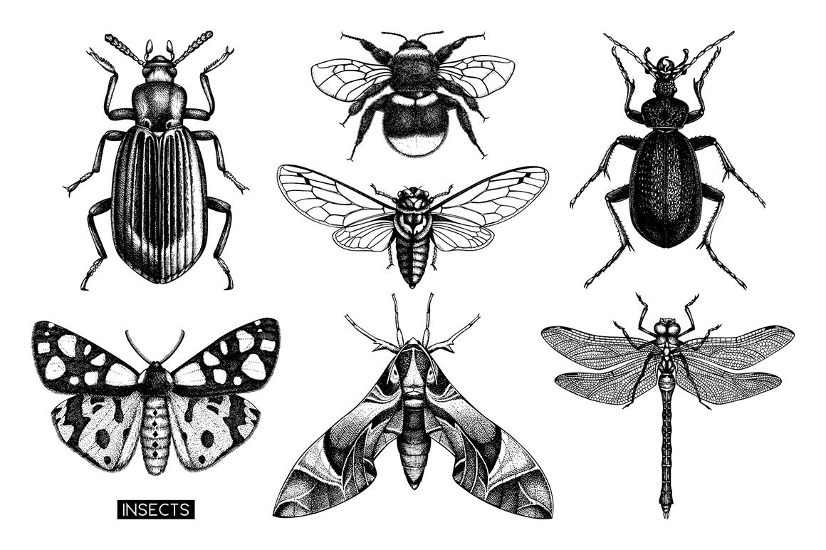 Таракан стилизация