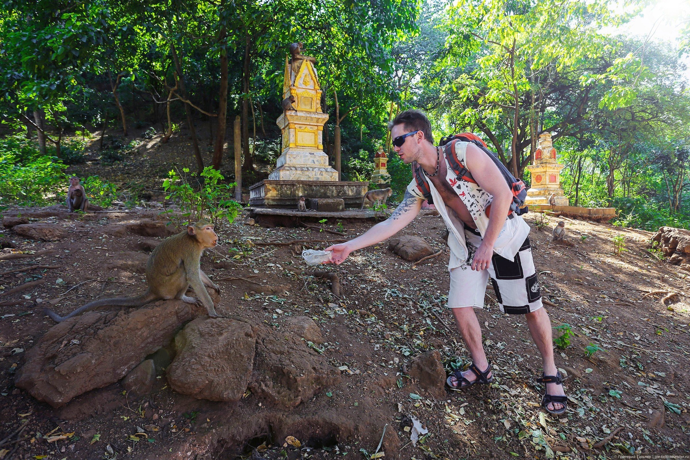 Нашествие обезьян в таиланде. Гора обезьян Тайланд. Остров обезьян в Тайланде. Обезьяны в Тайланде. Обезьяны в Тайланде без туристов.