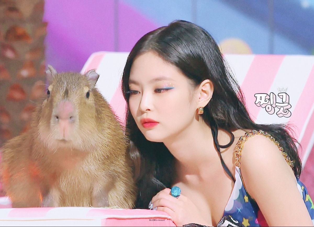 BLACKPINK Ice Cream капибара