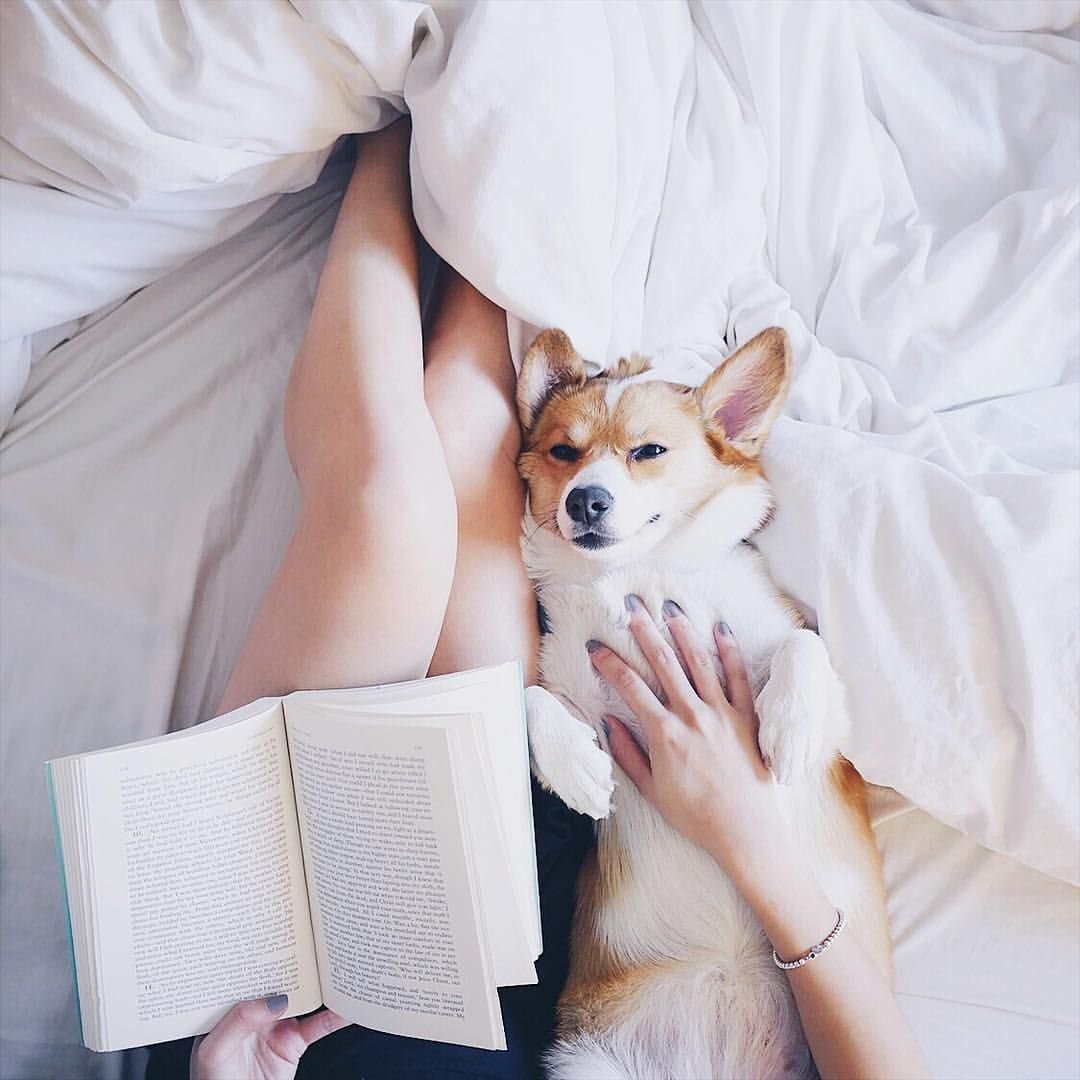 Девушка с корги