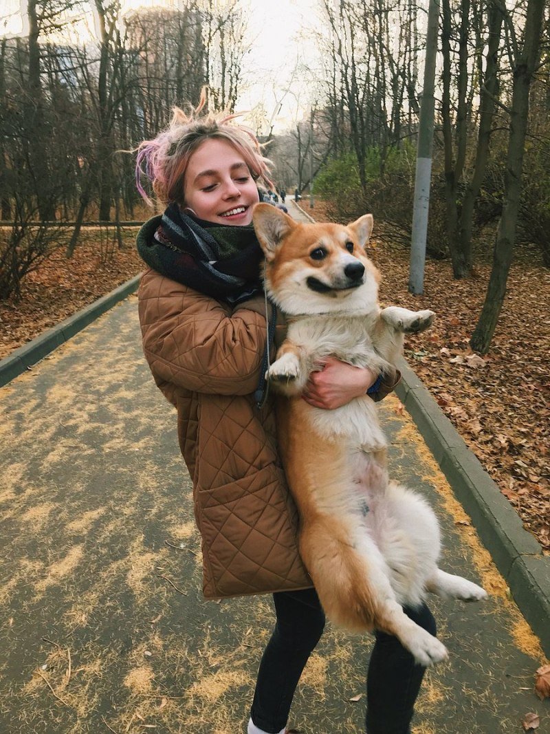 Корги с человеком