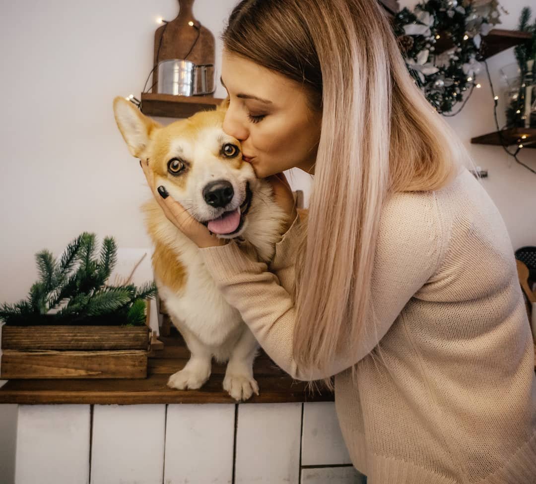Девушка с корги фотосессия