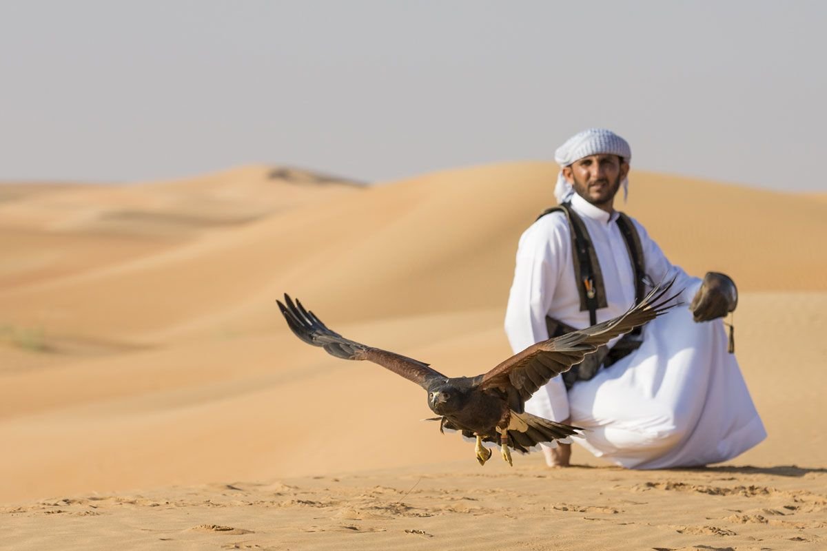 Соколиная охота в Эмиратах