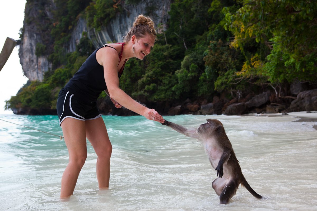 Пляж обезьян на Пхи Пхи