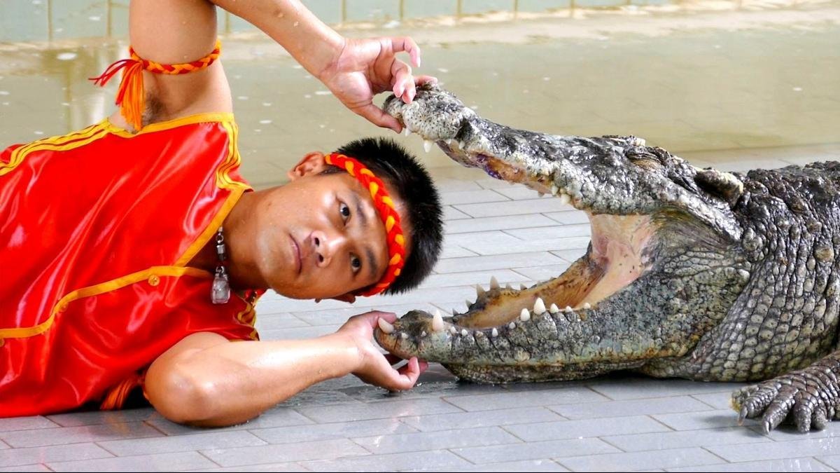 Шоу крокодилов в Шарм Эль Шейхе