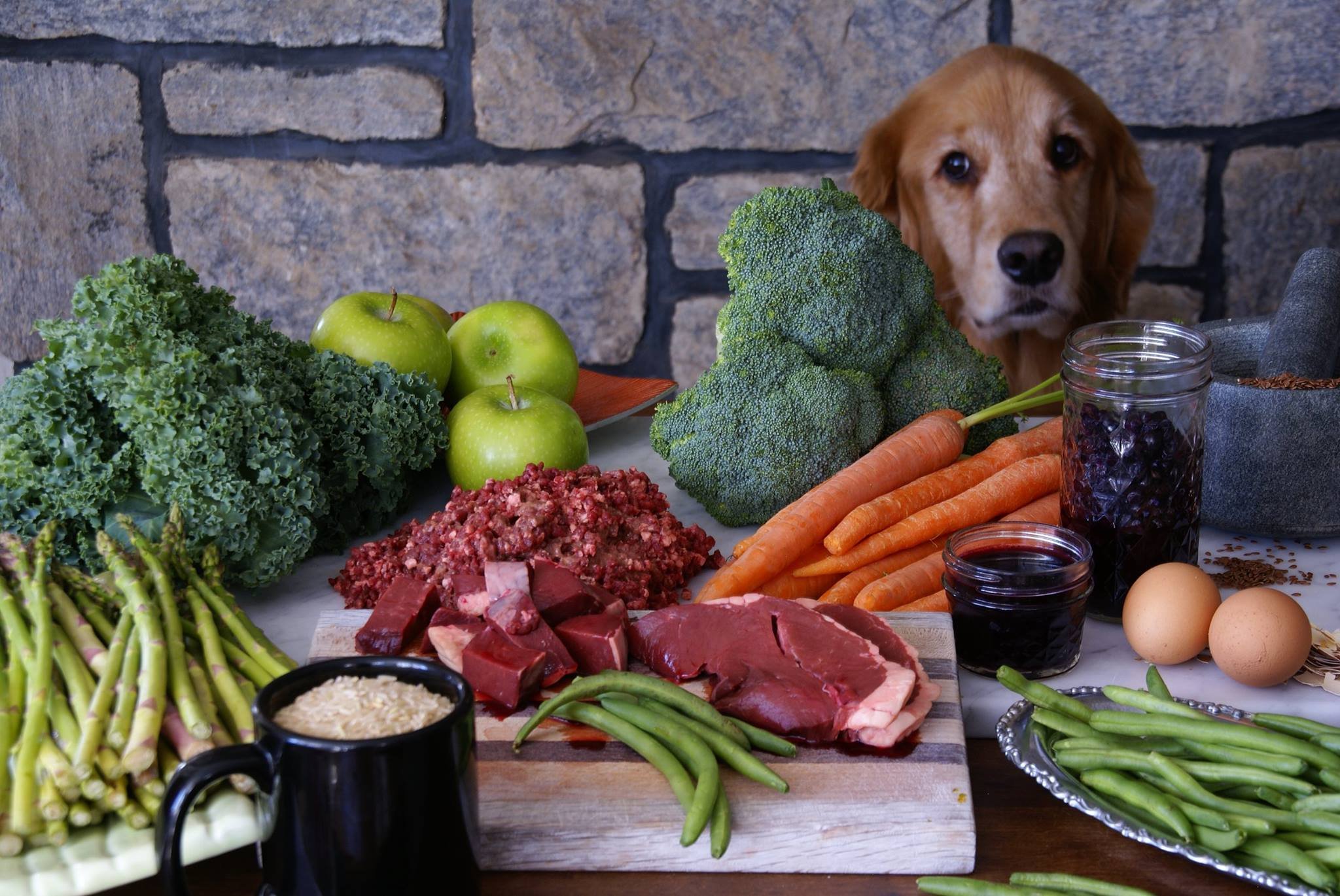 Теплая еда. Еда для собак. Ретривер и еда. Собака вегетарианец. Человек с собачьей едой.