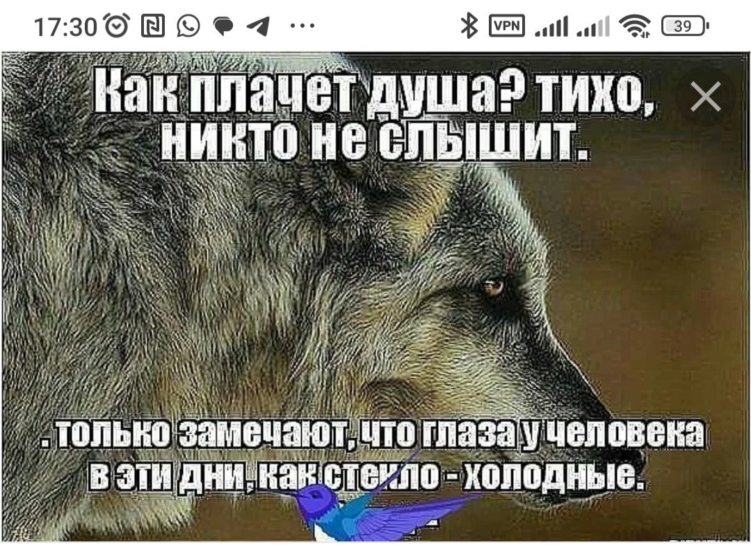 Статус плачет душа