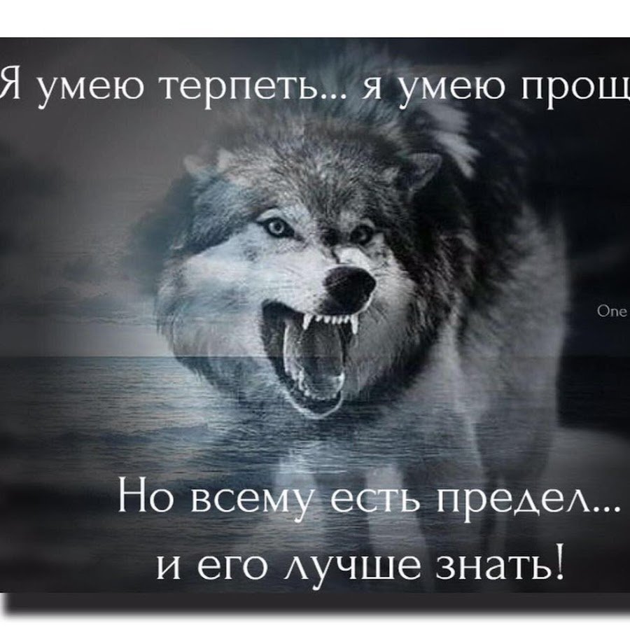 Злые статусы в картинках