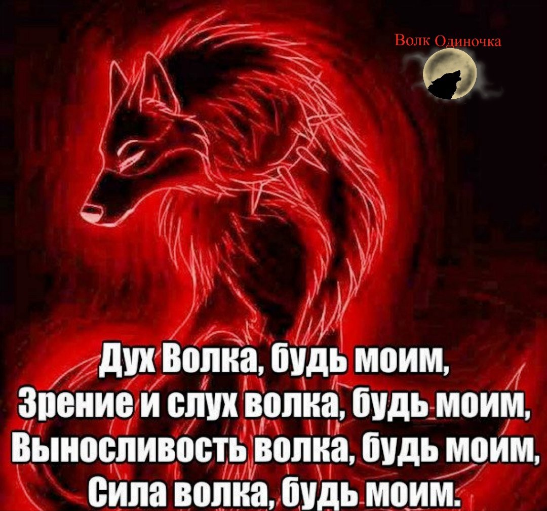 Дух волка цитаты