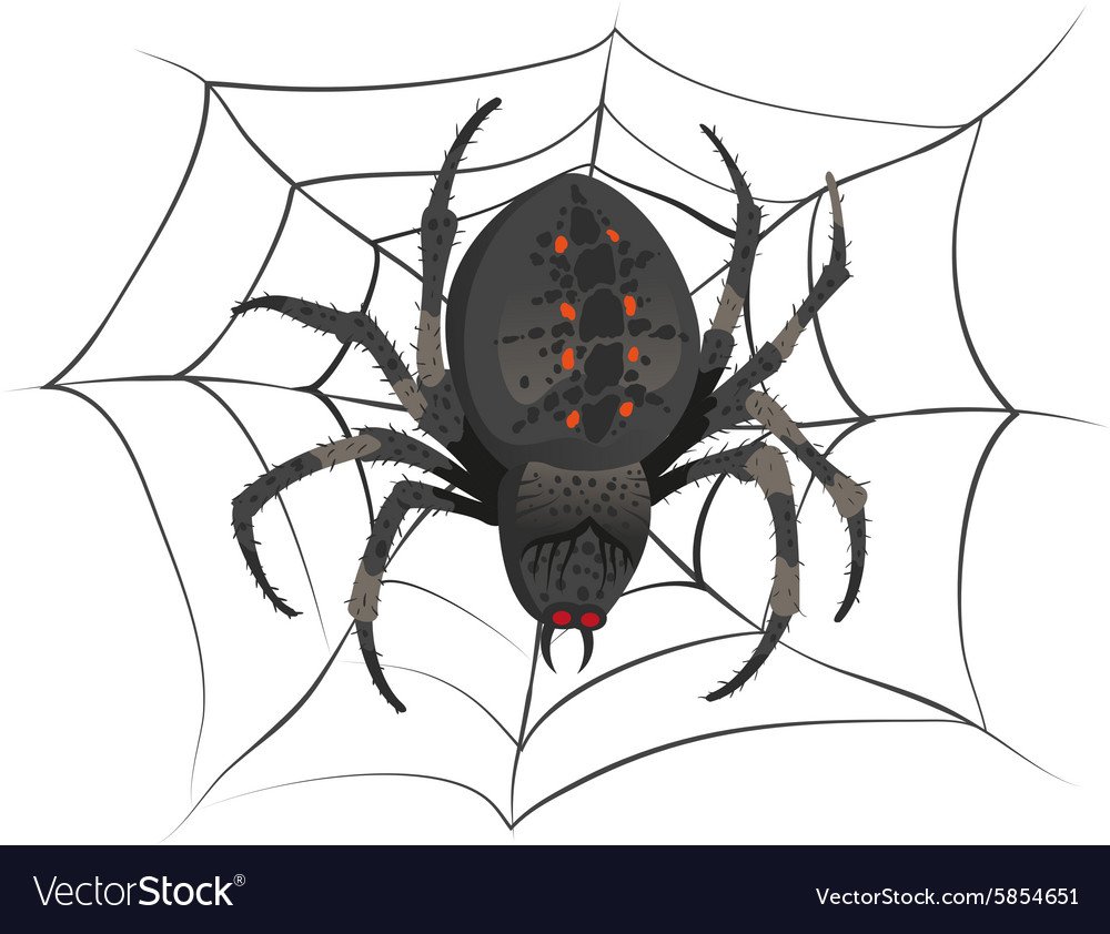 Страшный паук рисунок