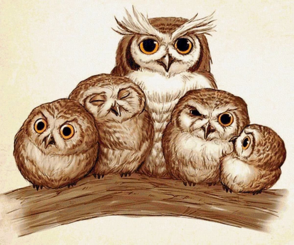 Сова рисунок