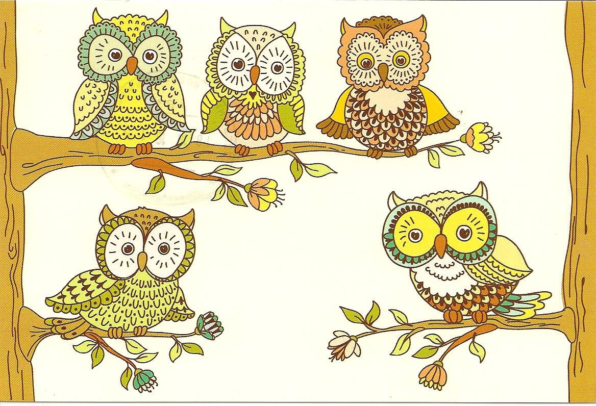 Совенок открытка