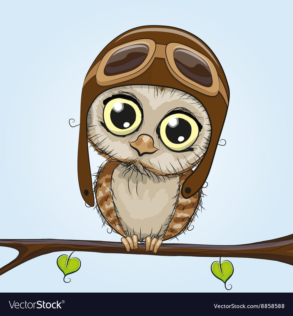 Сова в шапочке мультяшная