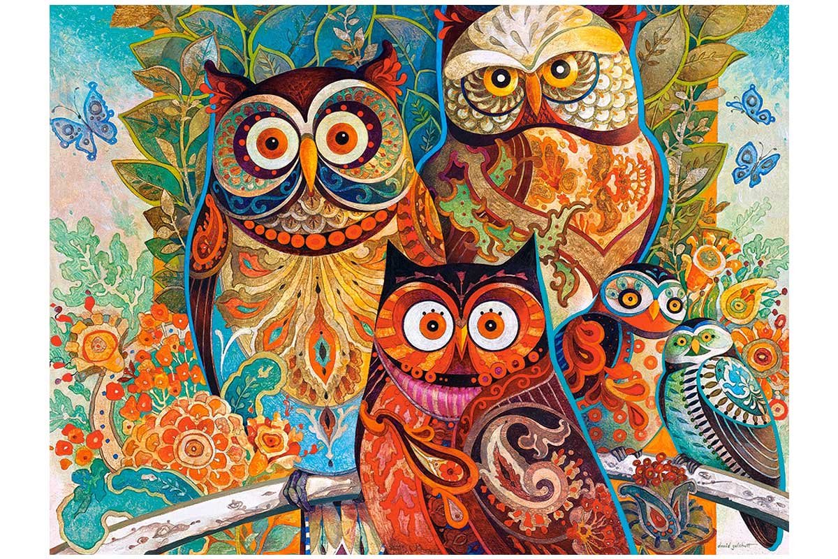 Дэвид Галчутт Совы