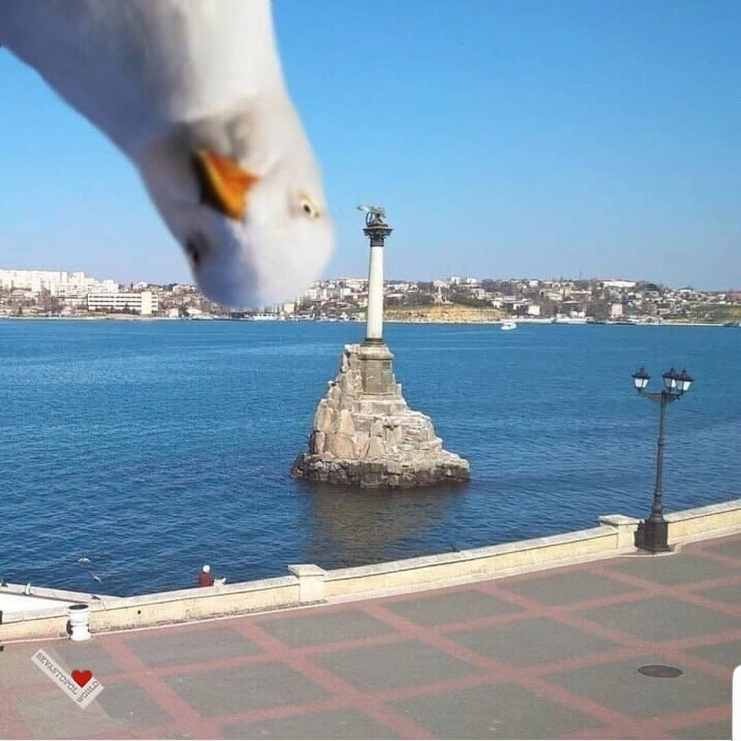 Доброе утро Крым