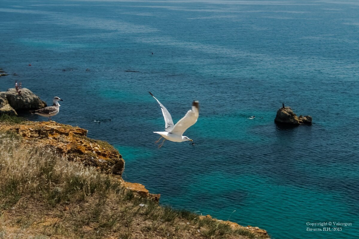 Гора Чайка Крым