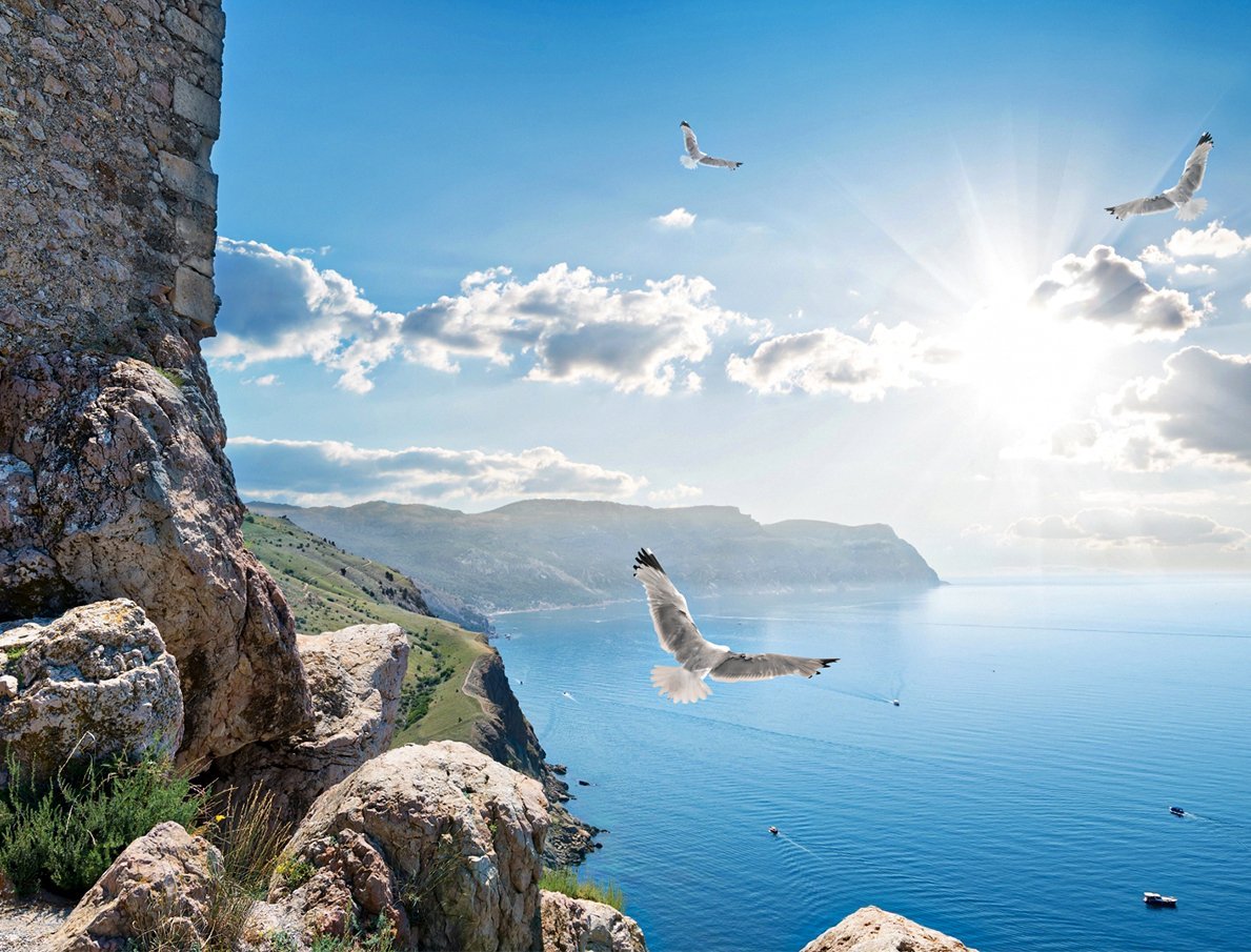 Море скалы солнце