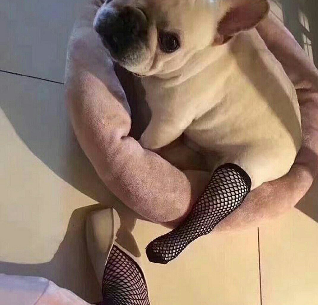 Юмор в картинках