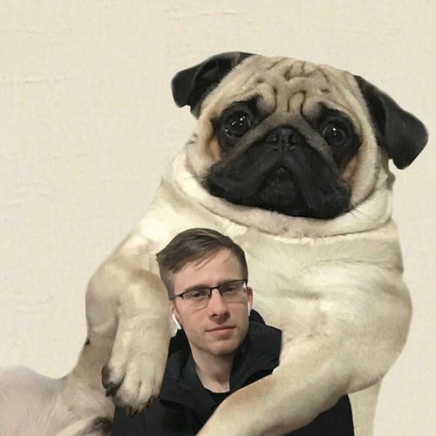 Мойша Мопс itpedia