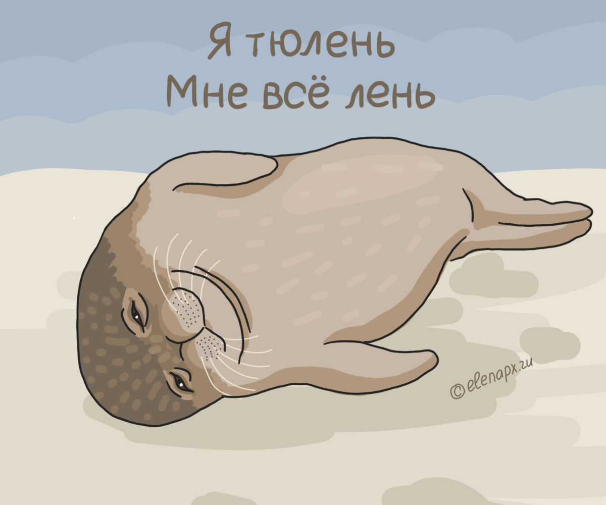 День тюлень