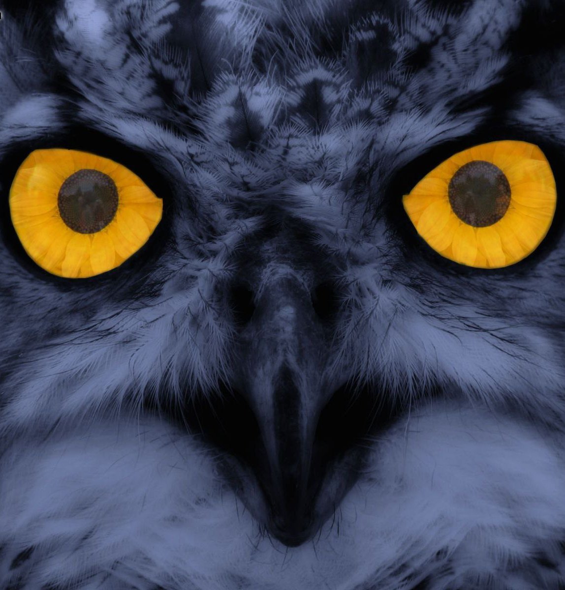 Сова со светящимися глазами