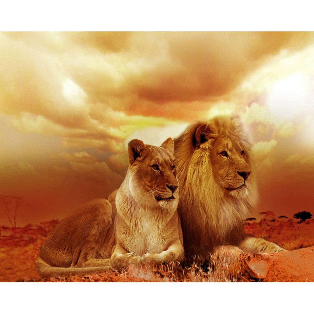 Телевизор Horizont 32le7521d