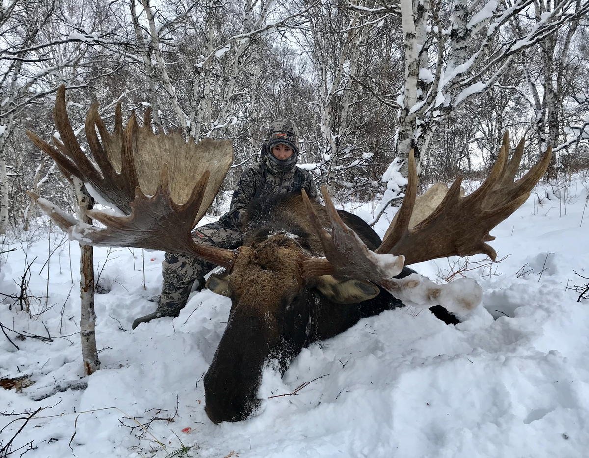 Лось с огромными рогами