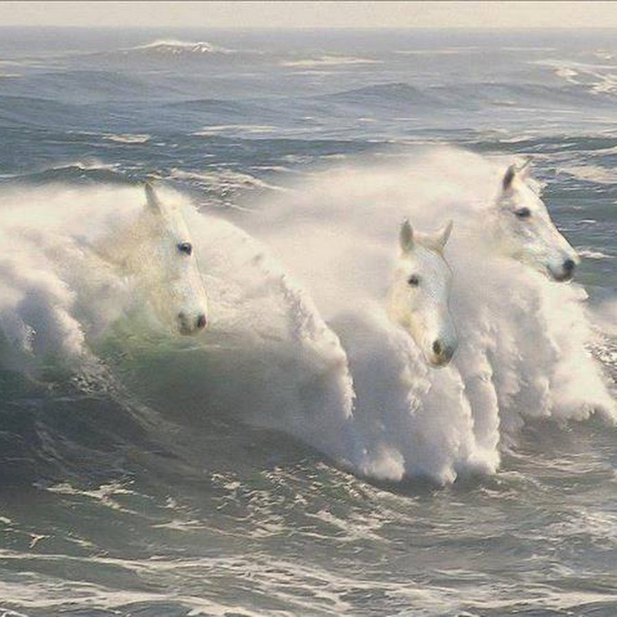 «Лошади в океане» Николая Гусарова