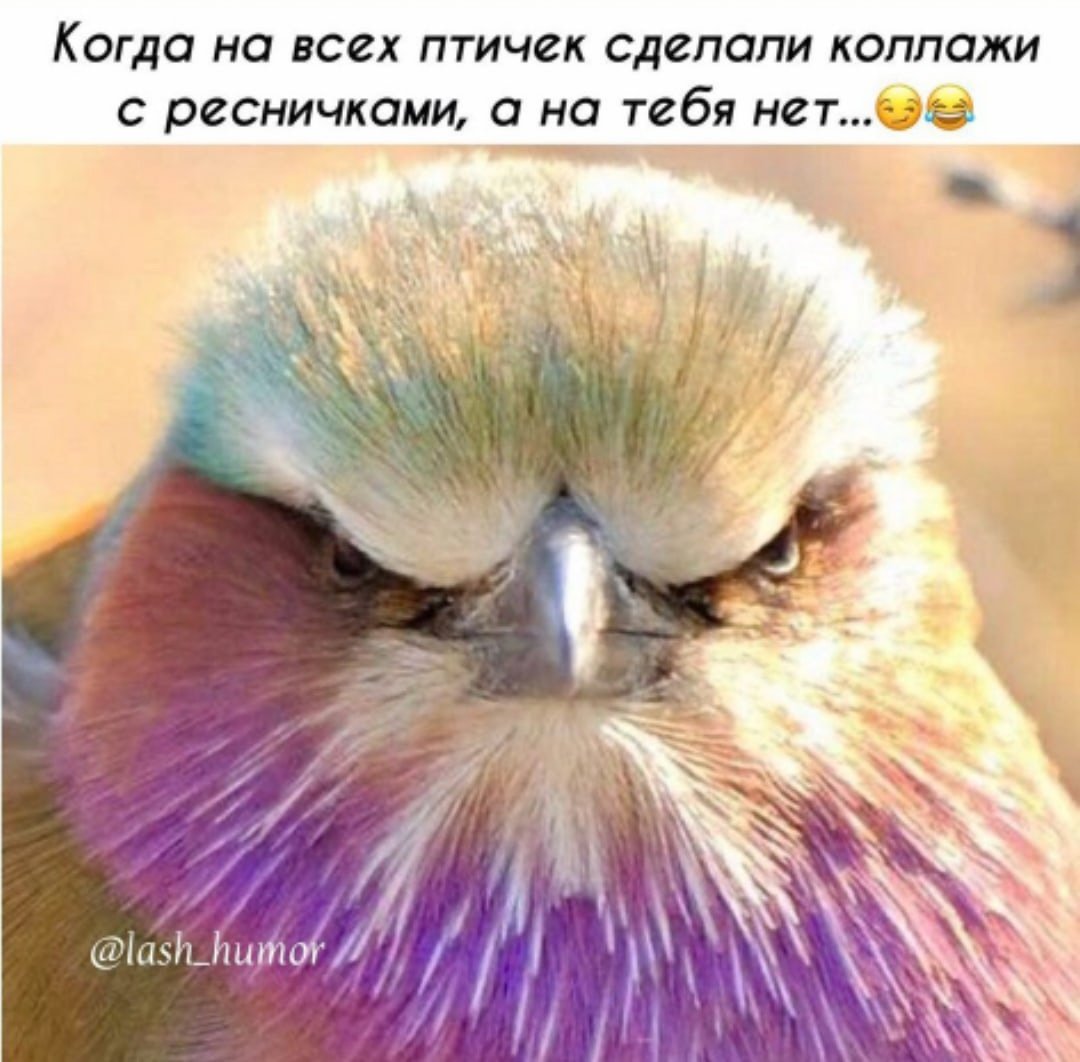 Злая птица Живая