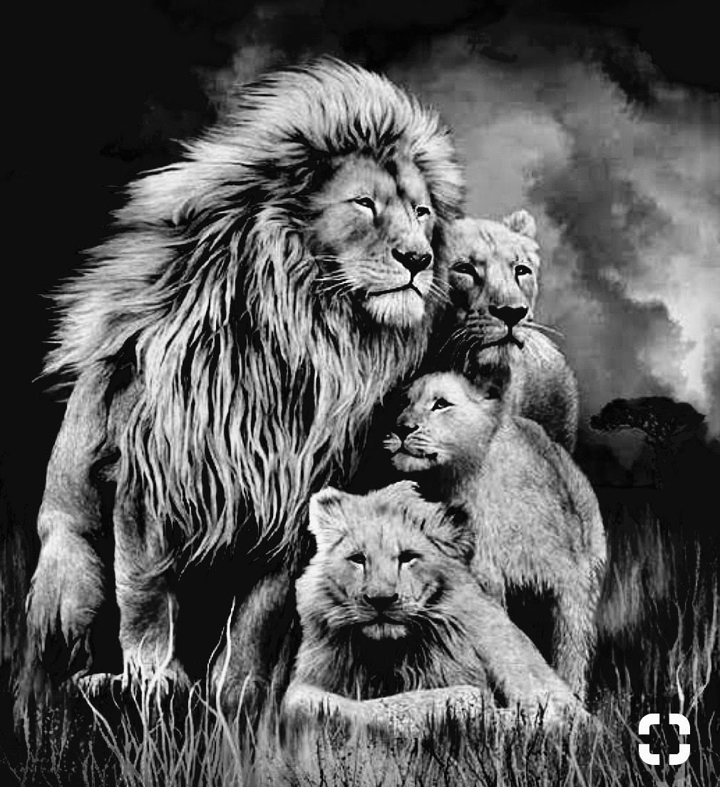 Лев львица и Львенок