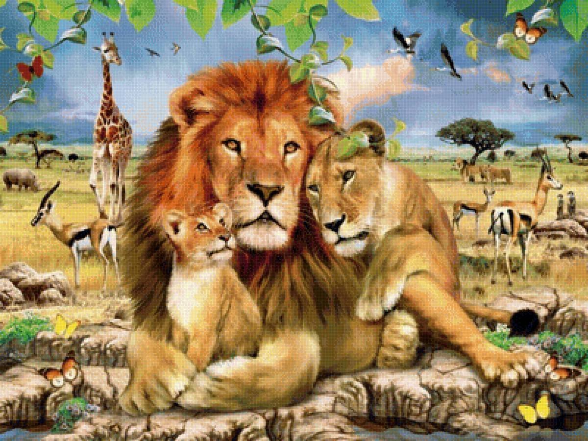 Прайд Львов семья