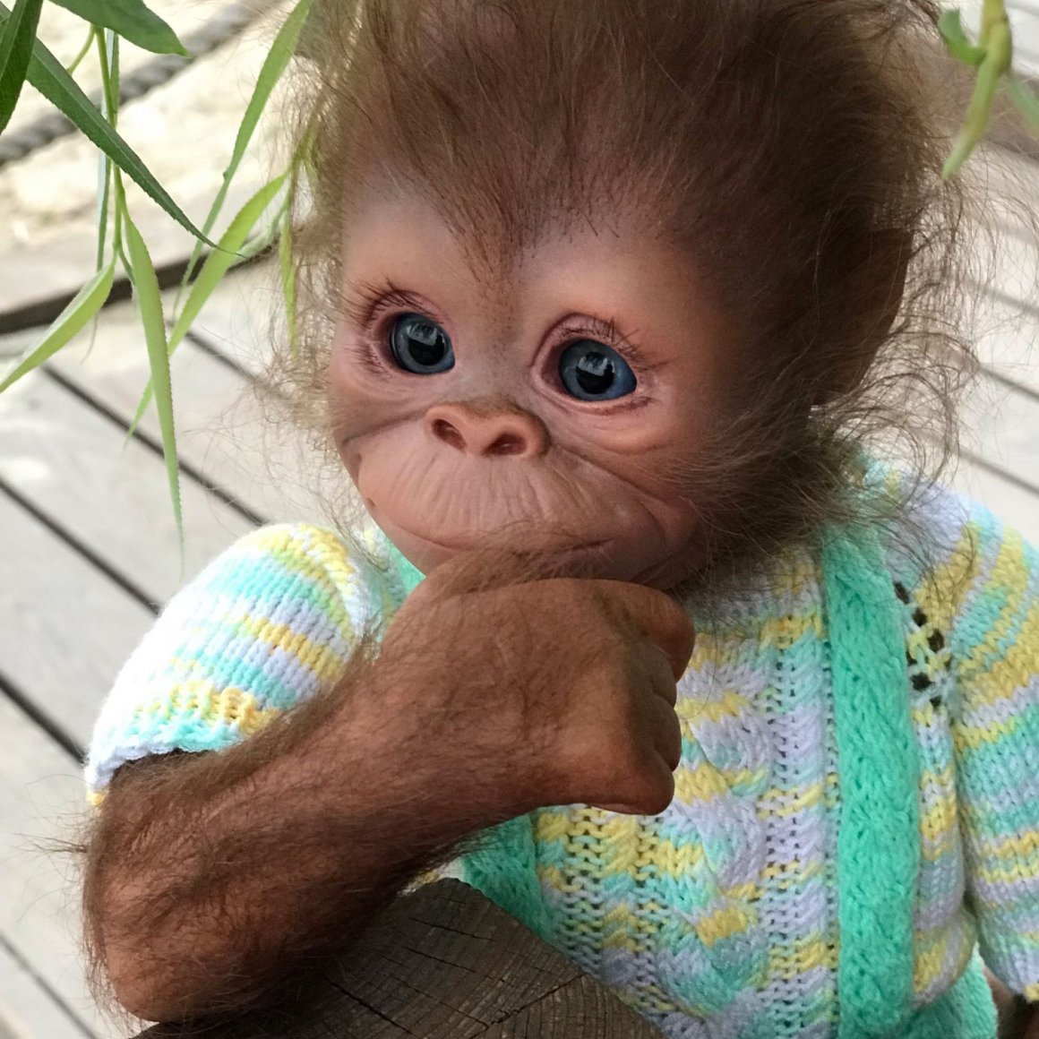 Мини обезьянки